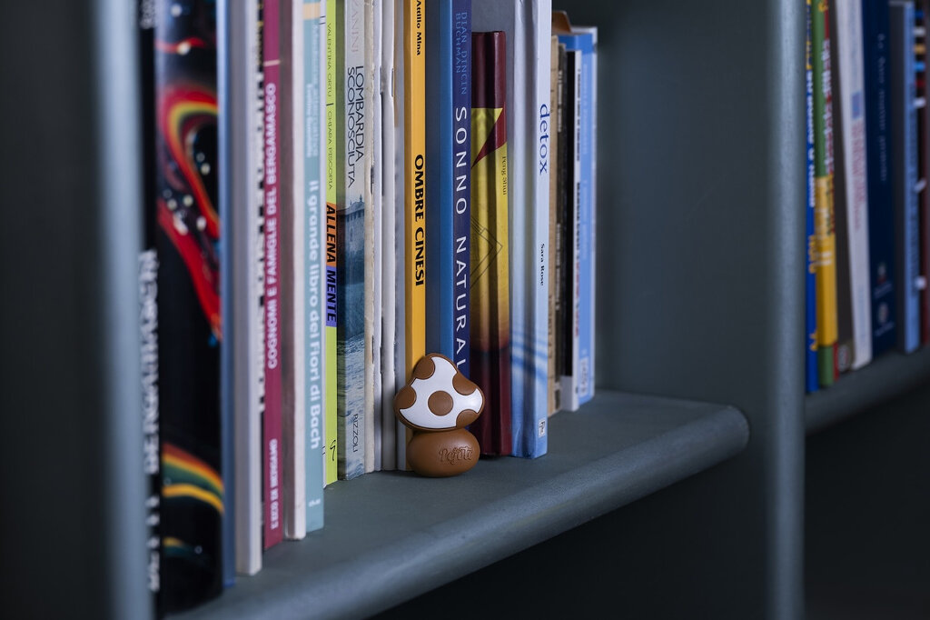 pejote_05_books.jpg